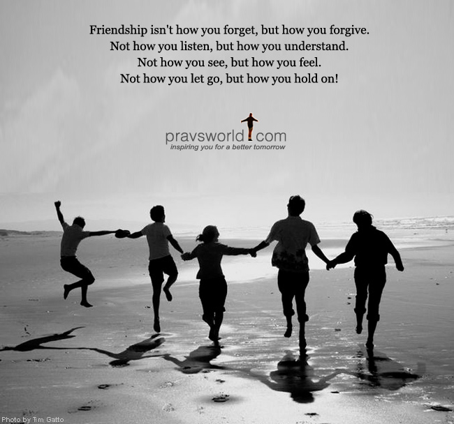 Funny Friendship Sayings and Quotes 